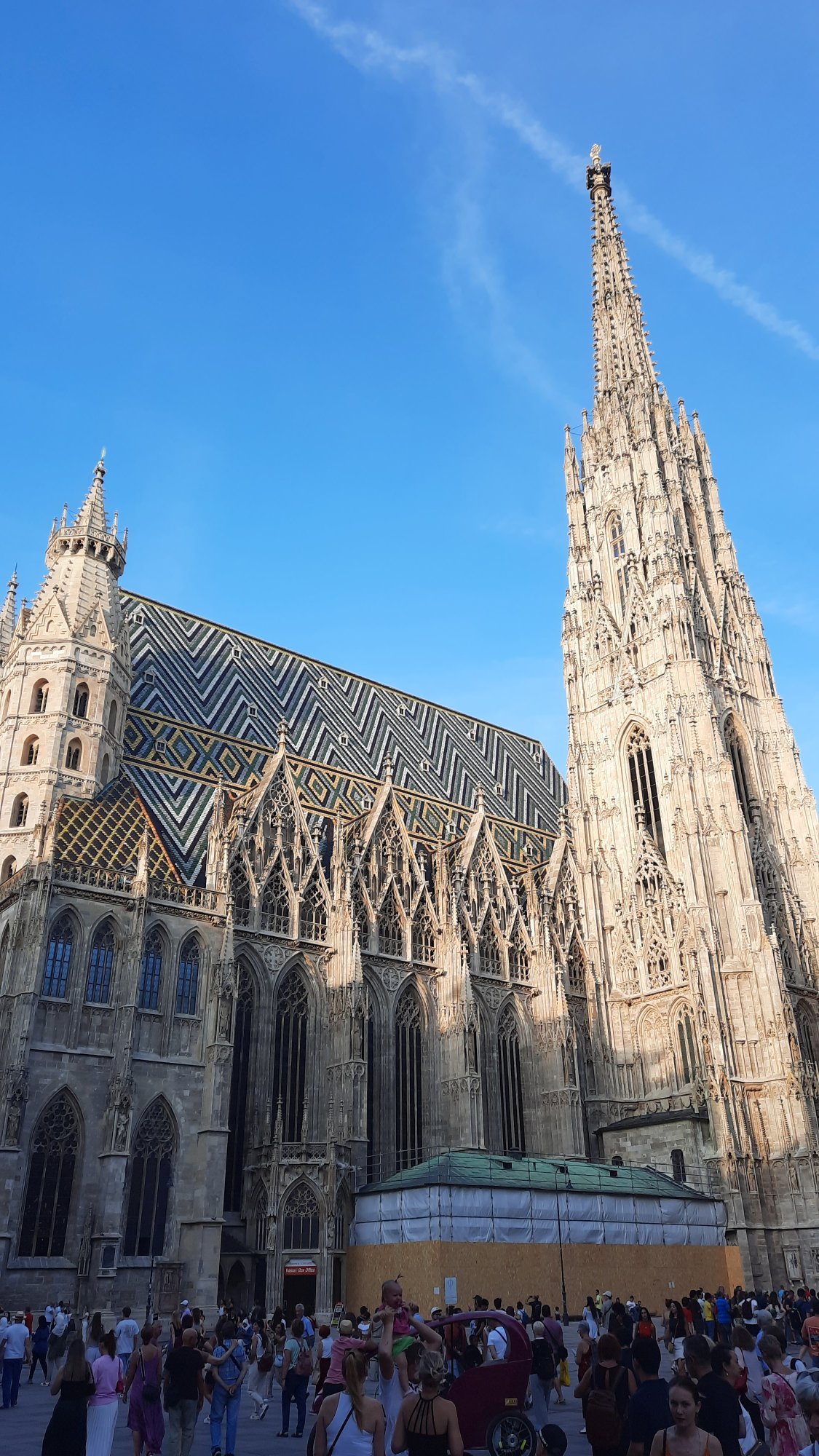 Katedrála svatého Štěpána (Domkirche St. Stephan)
